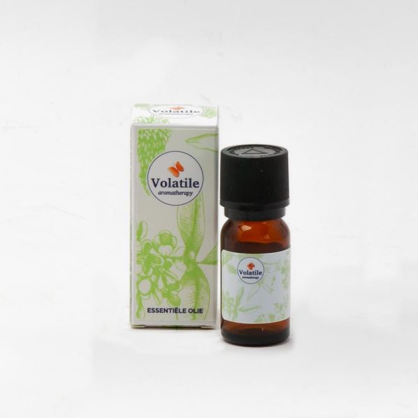 Ajowan CO2-SE Volatile