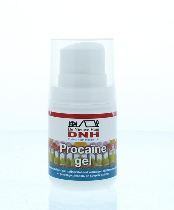 Procaine gel DNH